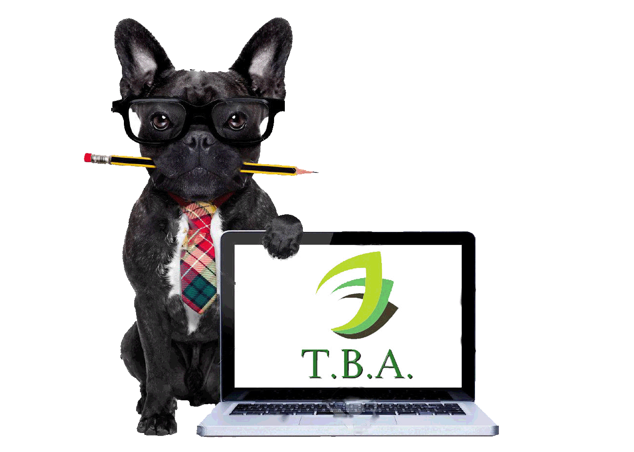 TBA Logo